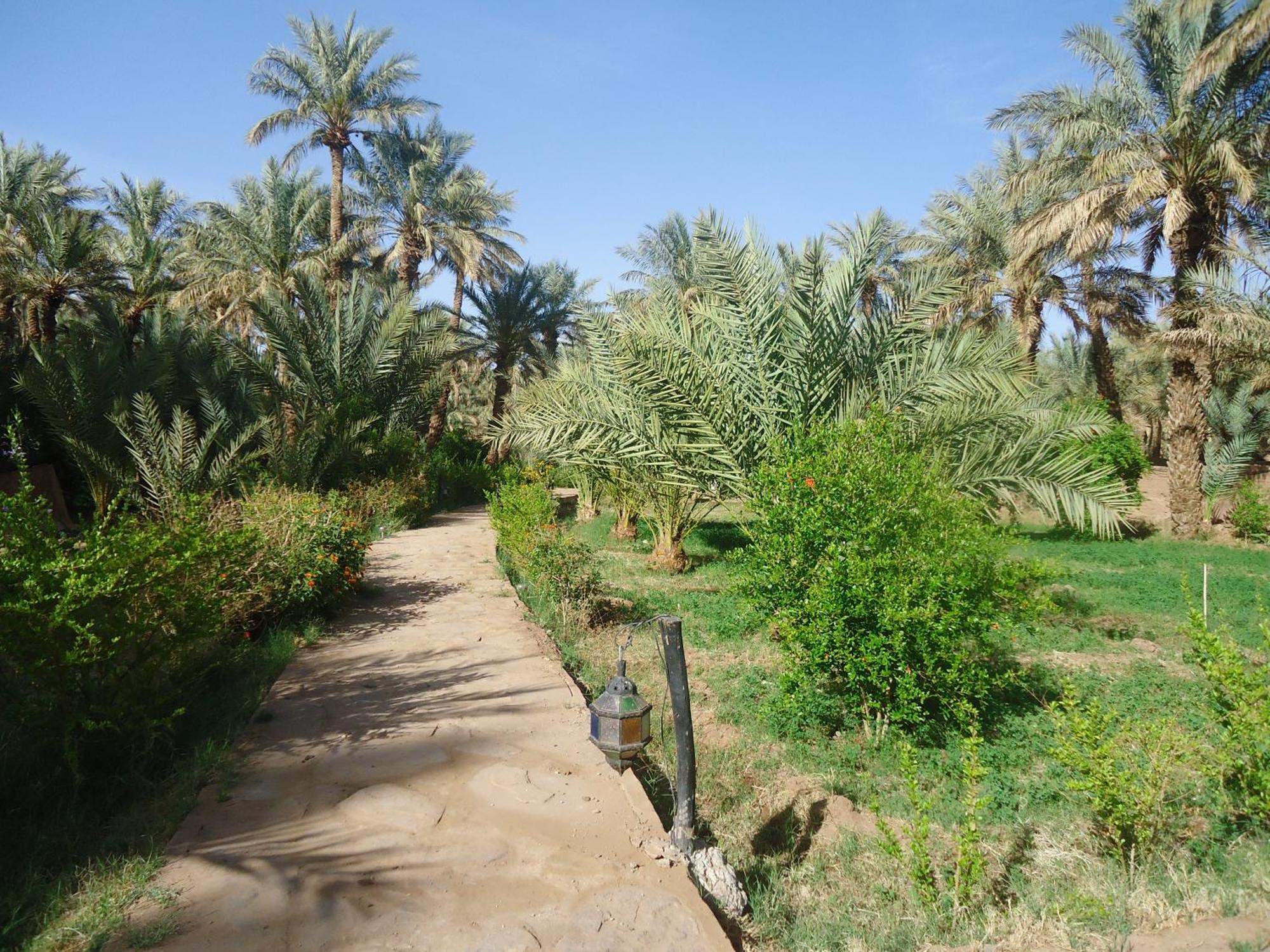 Riad Tagmadarte Ferme d'Hôte Zagora Exterior foto